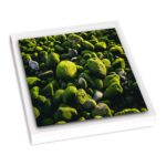 caisse americaine bois blanc tirage photo dibond sur mesure