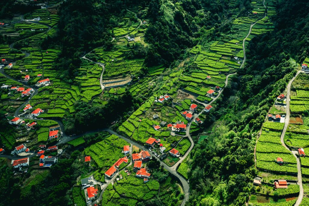 madeira portugal São Vicente drone vue panorama Estrada da Achada do Til vignobles vignes vin raisin étages habitations village maison routes forêt montagne falaises jungle voyage tourisme randonnée aurelienpapa